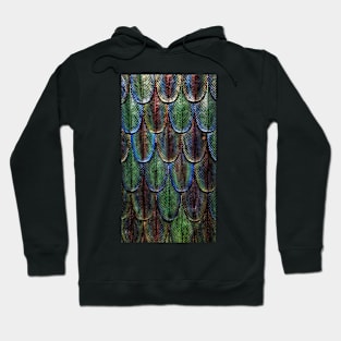 Peacock feather metal effect Hoodie